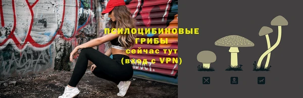 spice Медвежьегорск