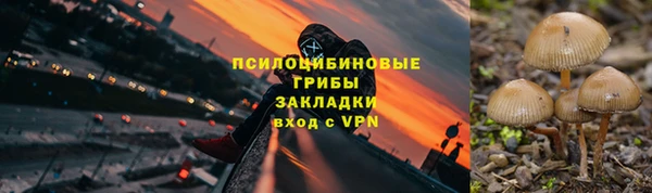 spice Медвежьегорск